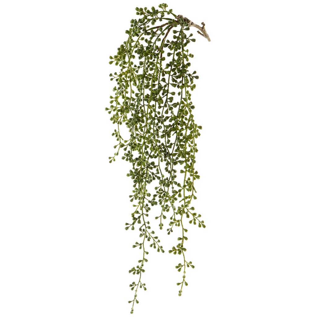 String of Pearl Hanging Spray Green, 27in