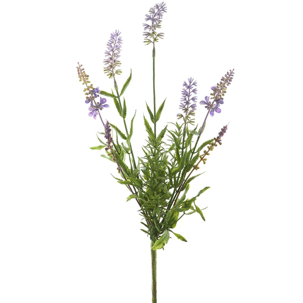 Lavender Bush Purple Lavender, 15in