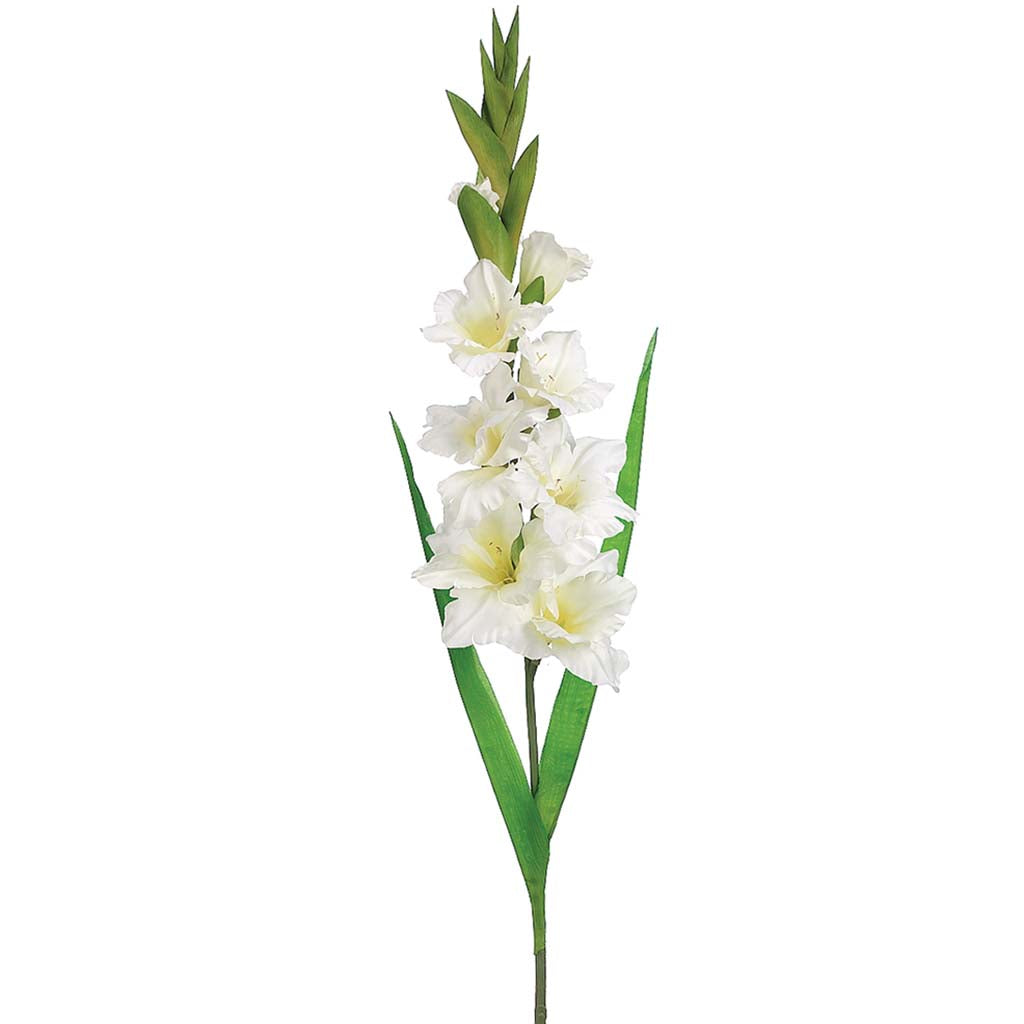 Gladiolus Spray White 36.6in