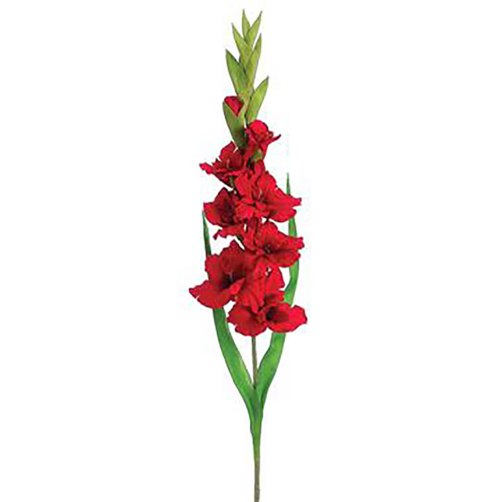 Gladiolus Spray Red, 36.6in