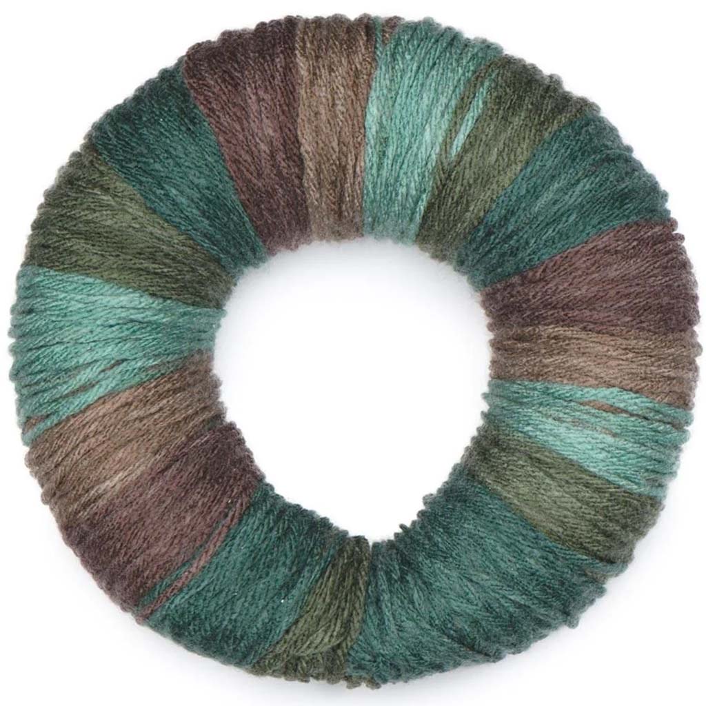 Super Saver O'Go Yarn, Forest