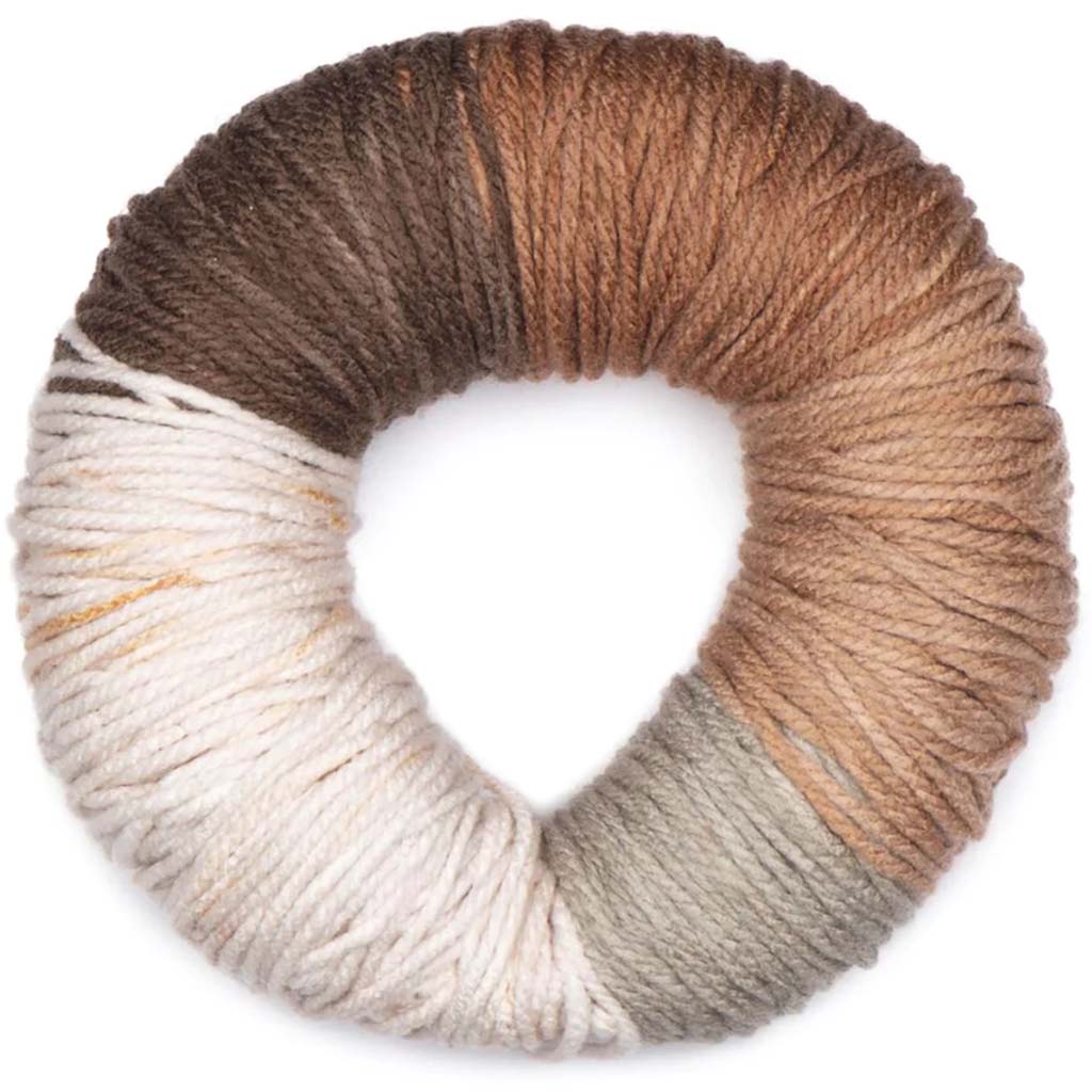 Caron Colorama O'Go Yarn, Tabby