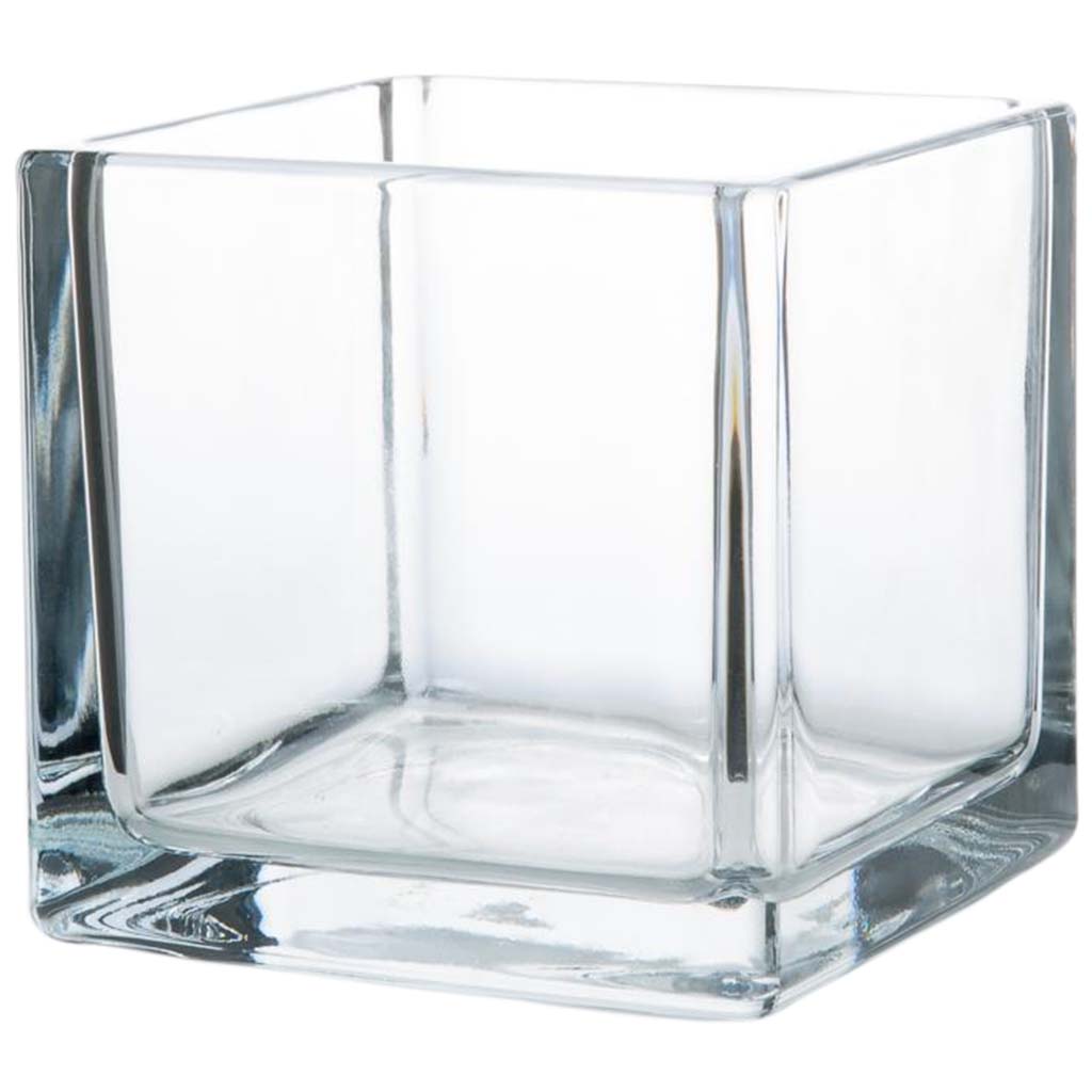 Clear Everyday Floral Cube Vase, 6in