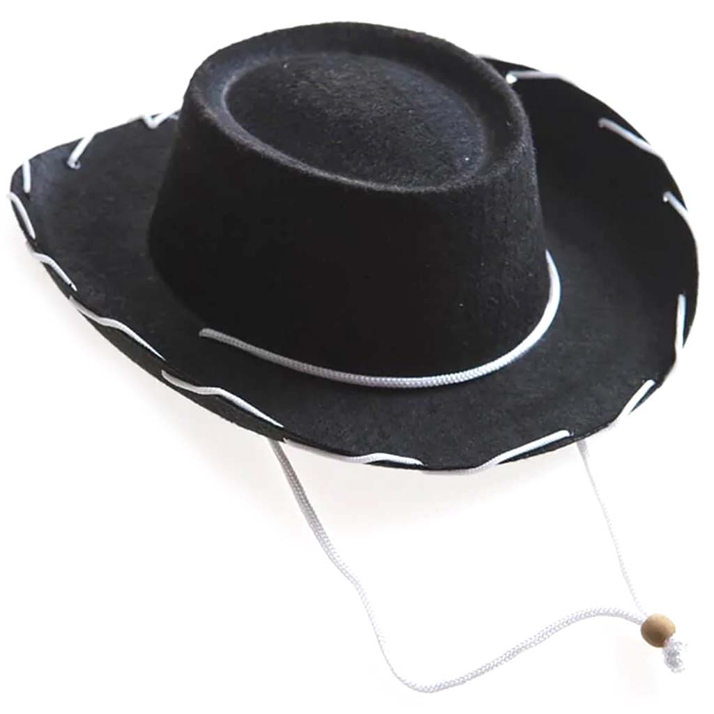 Cowboy Hat with Whipstitch