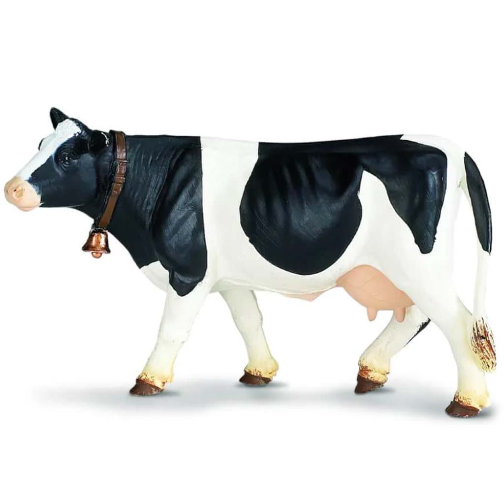 Holstein Cow 