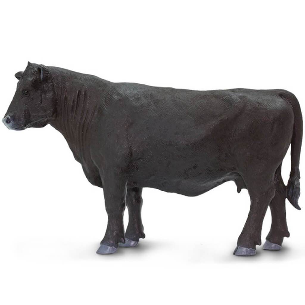 Black Angus Cow