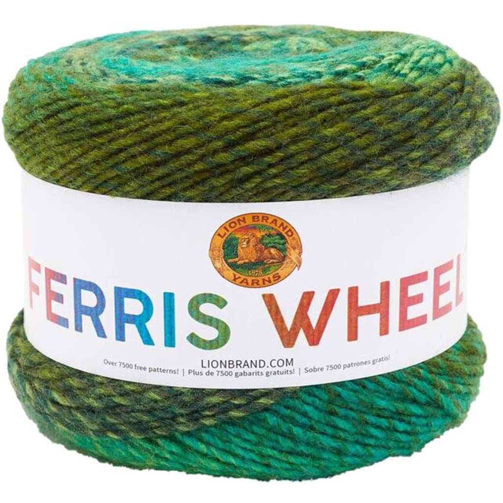 Lion Brand Ferris Wheel Yarn, Evergreen