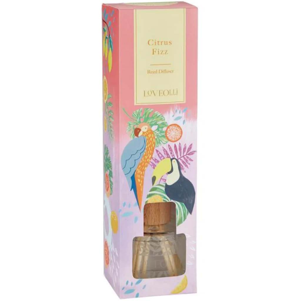 Citrus Fizz, LoveOlli Reed Diffuser