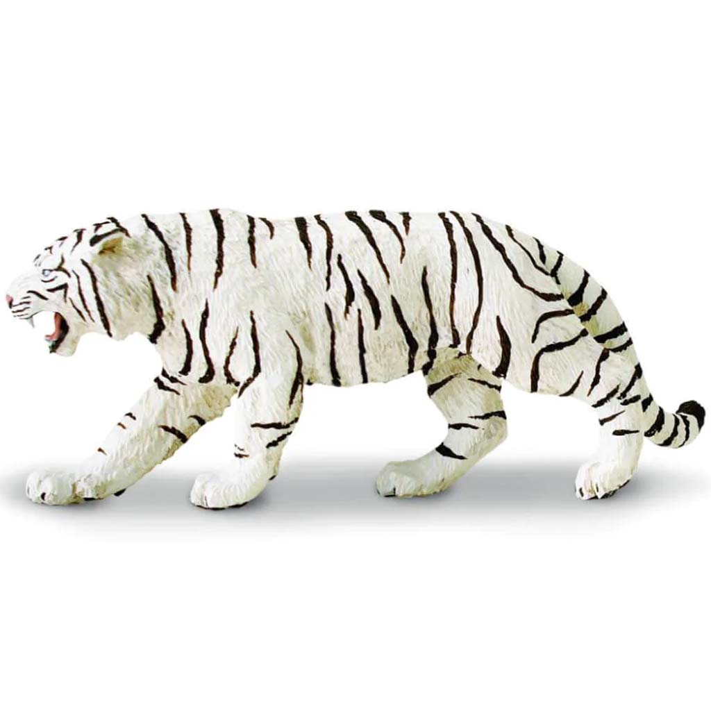 White Bengal Tiger 