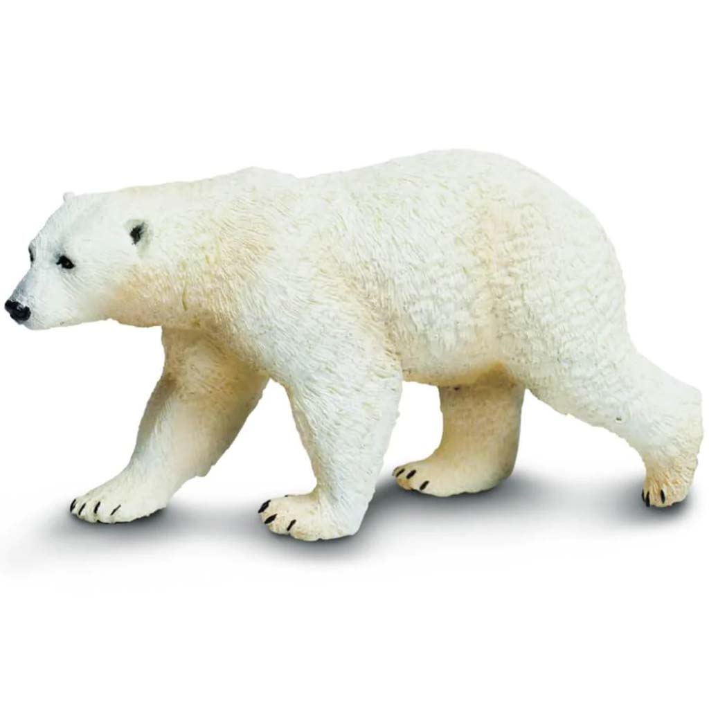 Polar Bear 