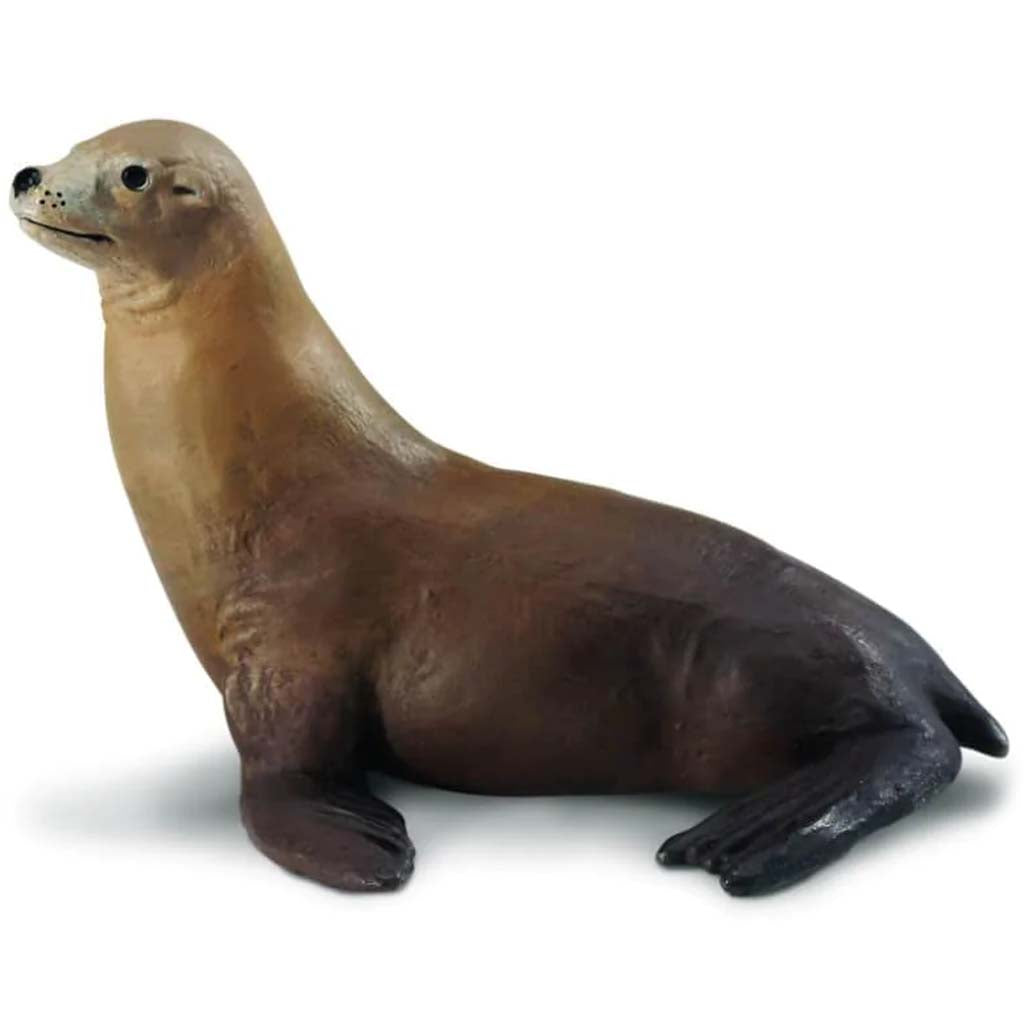 Sea Lion 