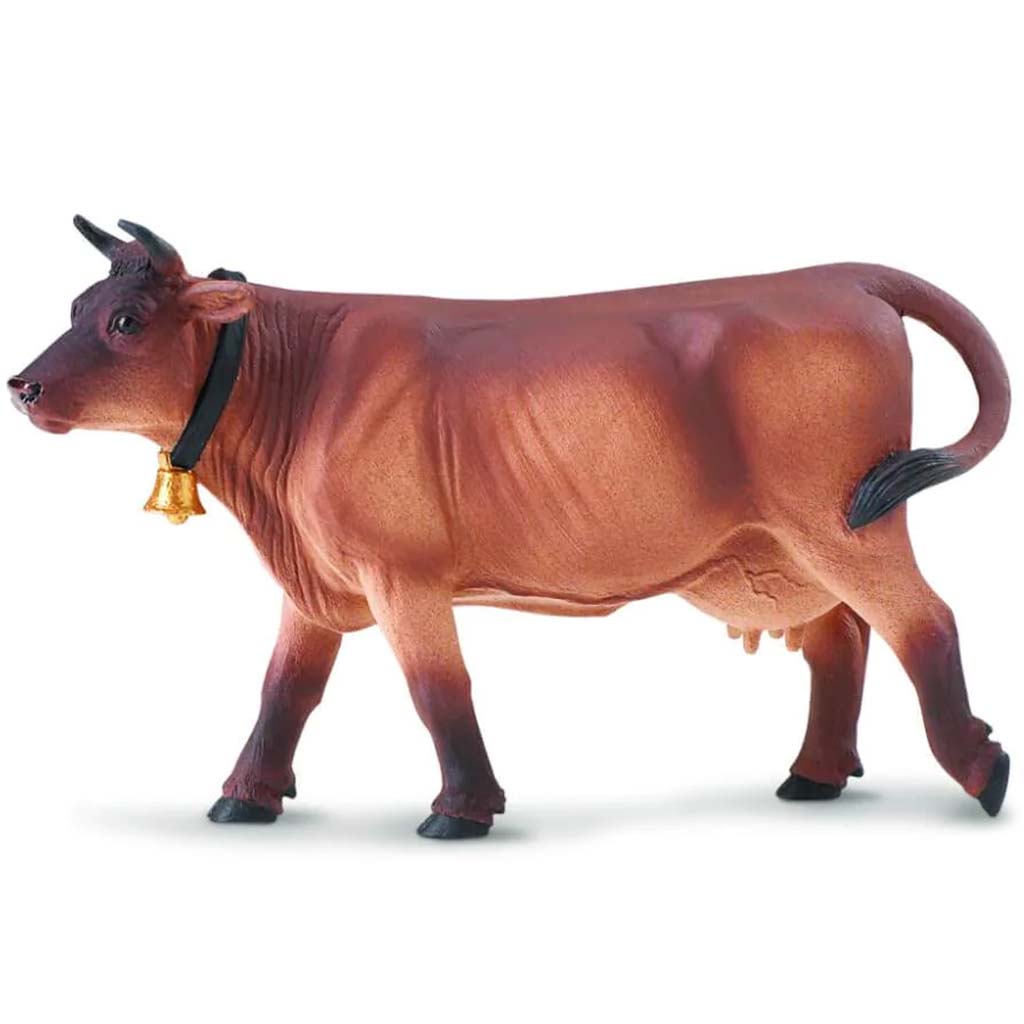 Jersey Cow 