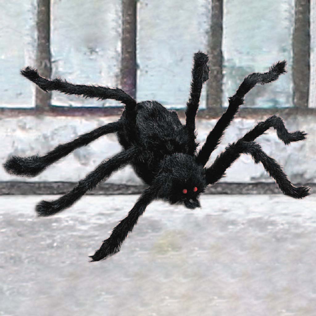 Black Spider, L 10in x W 46in