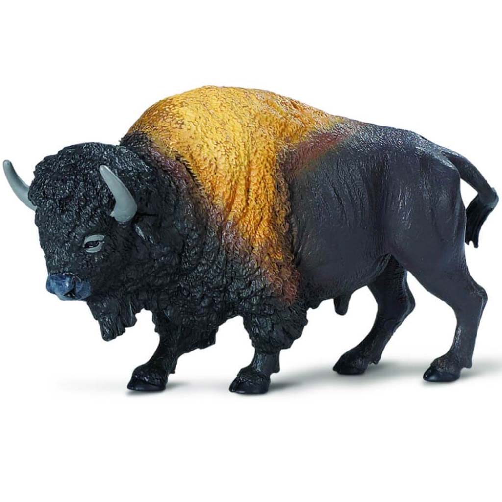 Bison 