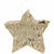 Foil Gold Star Mini Pinata