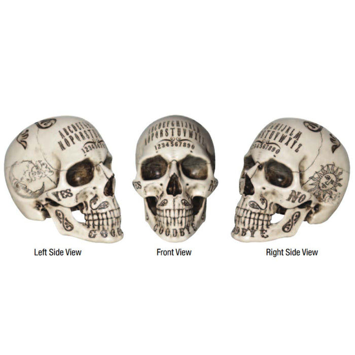 ASH Spirit Resin Skull