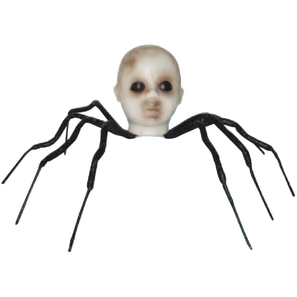 Baby Head Spider