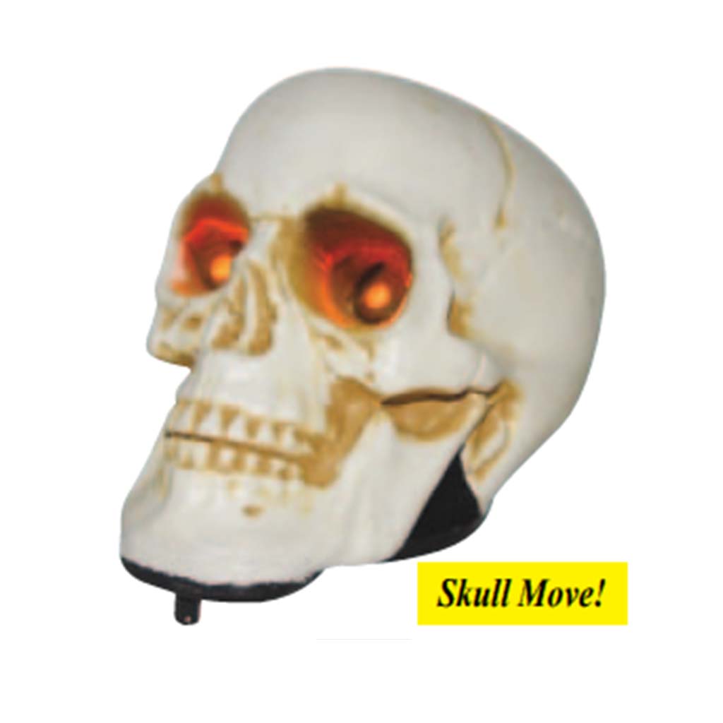 Realistic Walking Skull