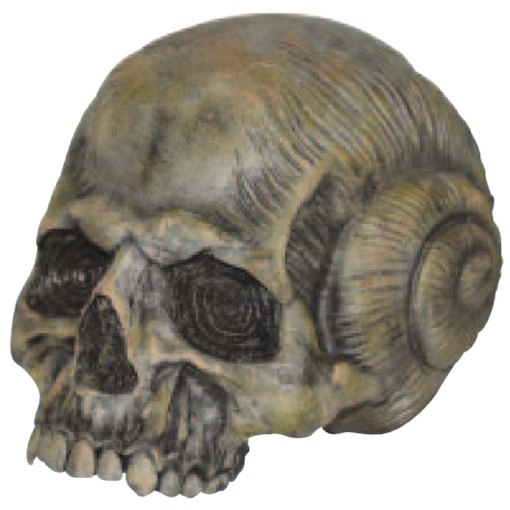 Skull, 7in