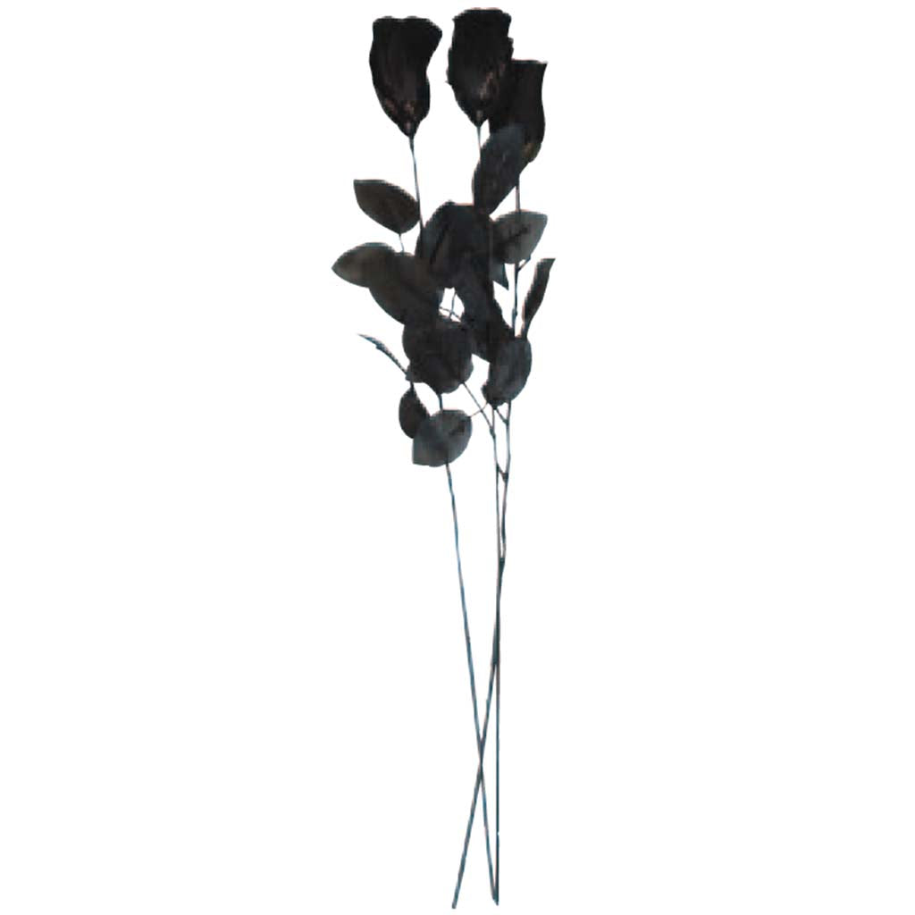 Black Rose with Black Stem