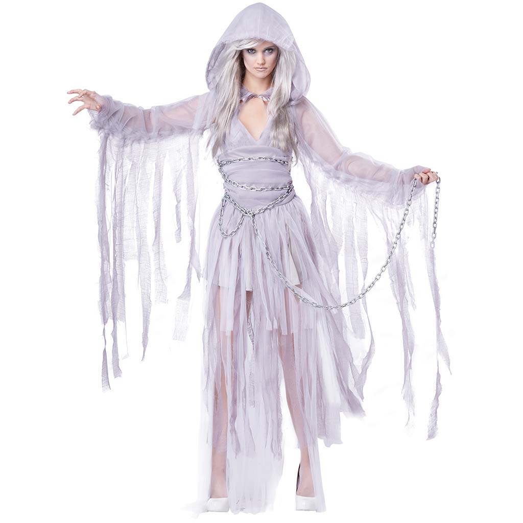 Haunting Beauty Teen Costume X-Small