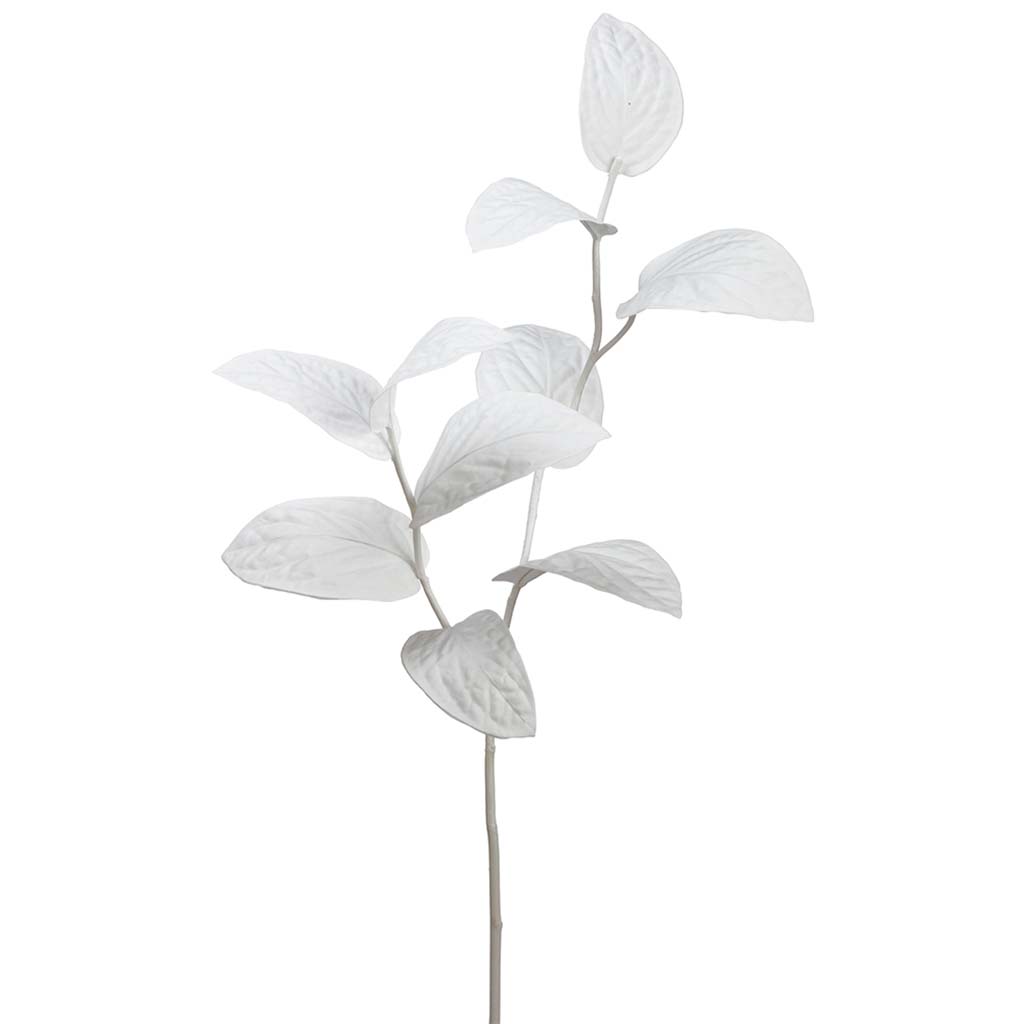 Magnolia Leaf Spray White, 30in