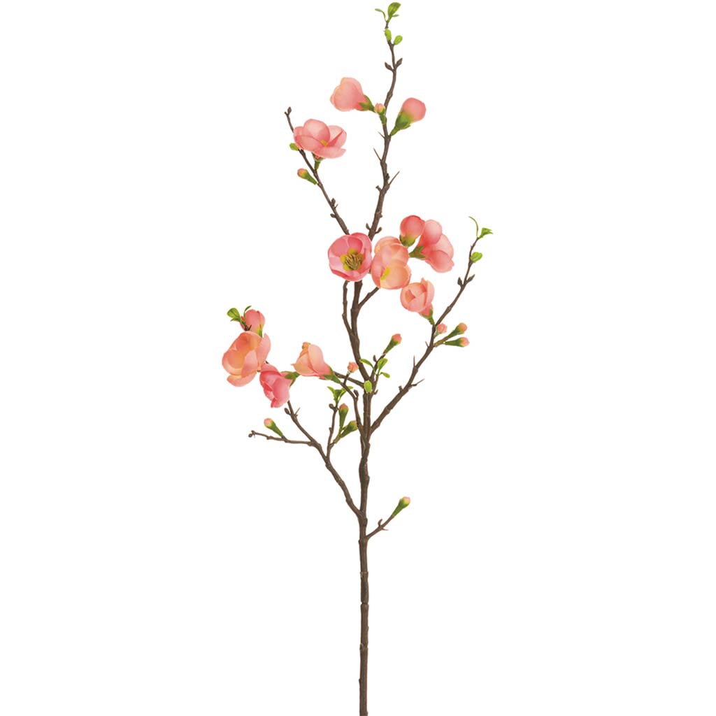 Quince Blossom Spray Two Tone Coral, 35in