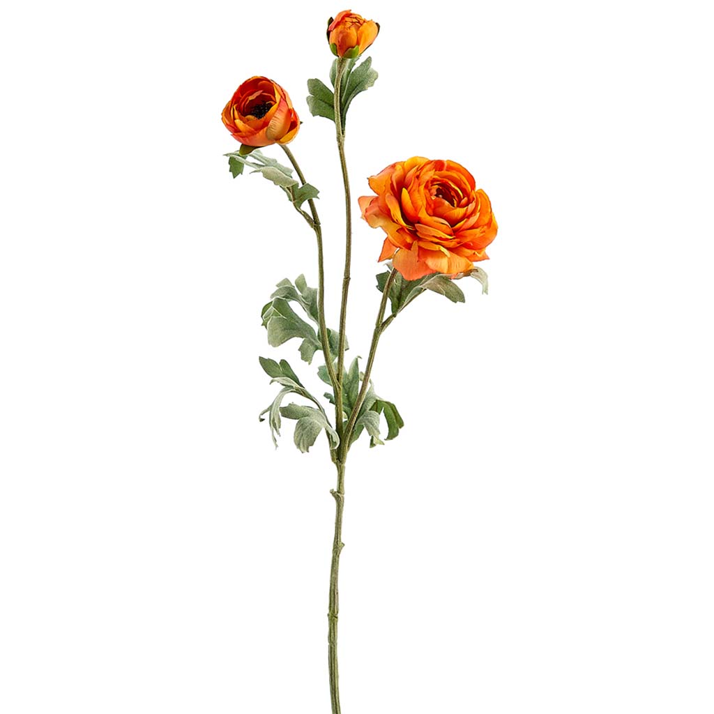 Ranunculus Spray Yellow Orange, 26in