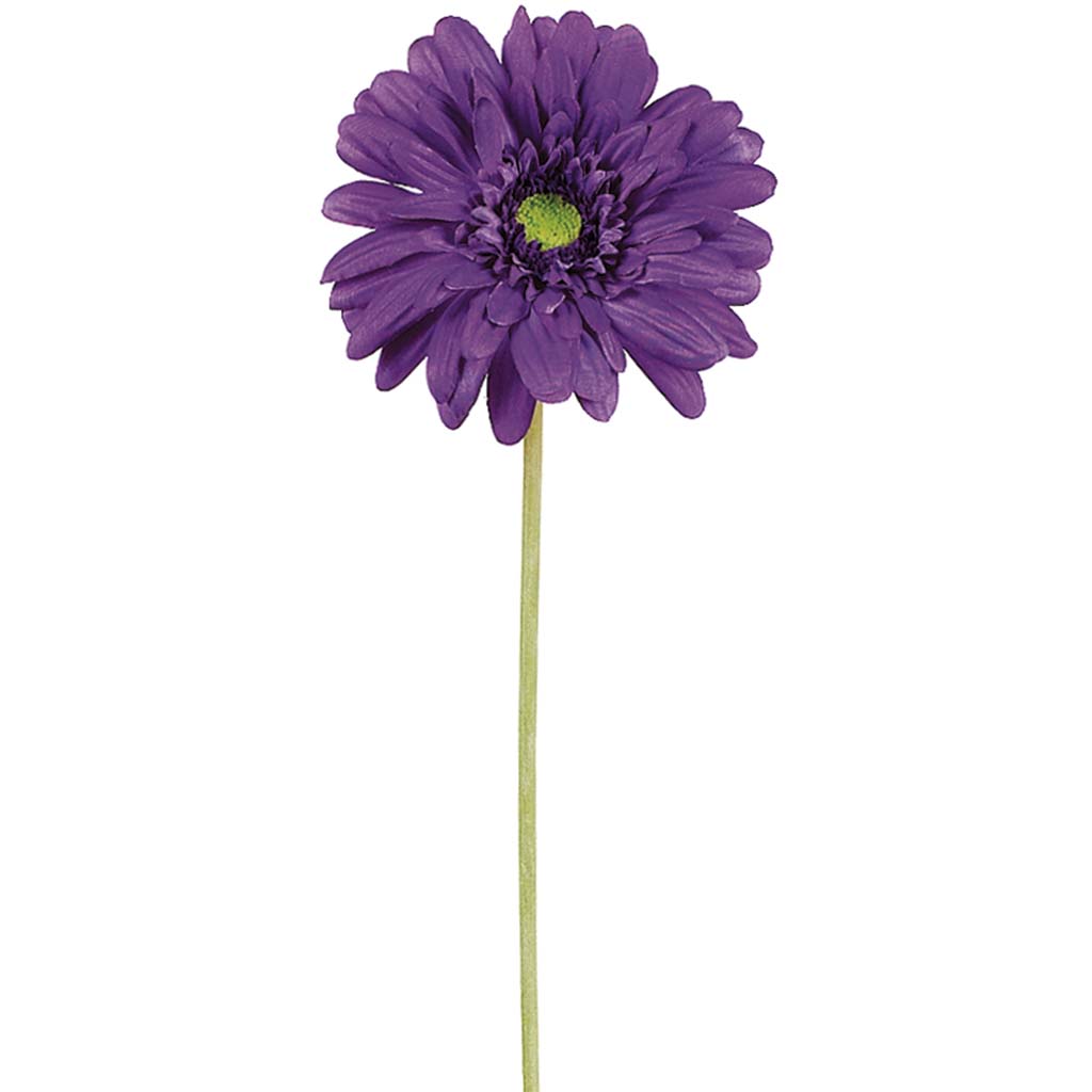 Medium Gerbera Daisy Spray Purple, 21.5in