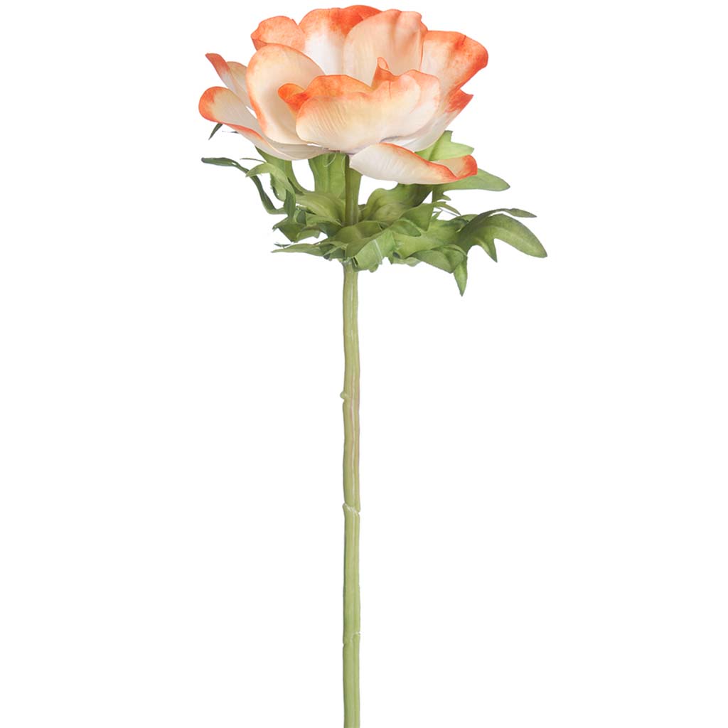 Anemone Spray 17.5in Coral Cream