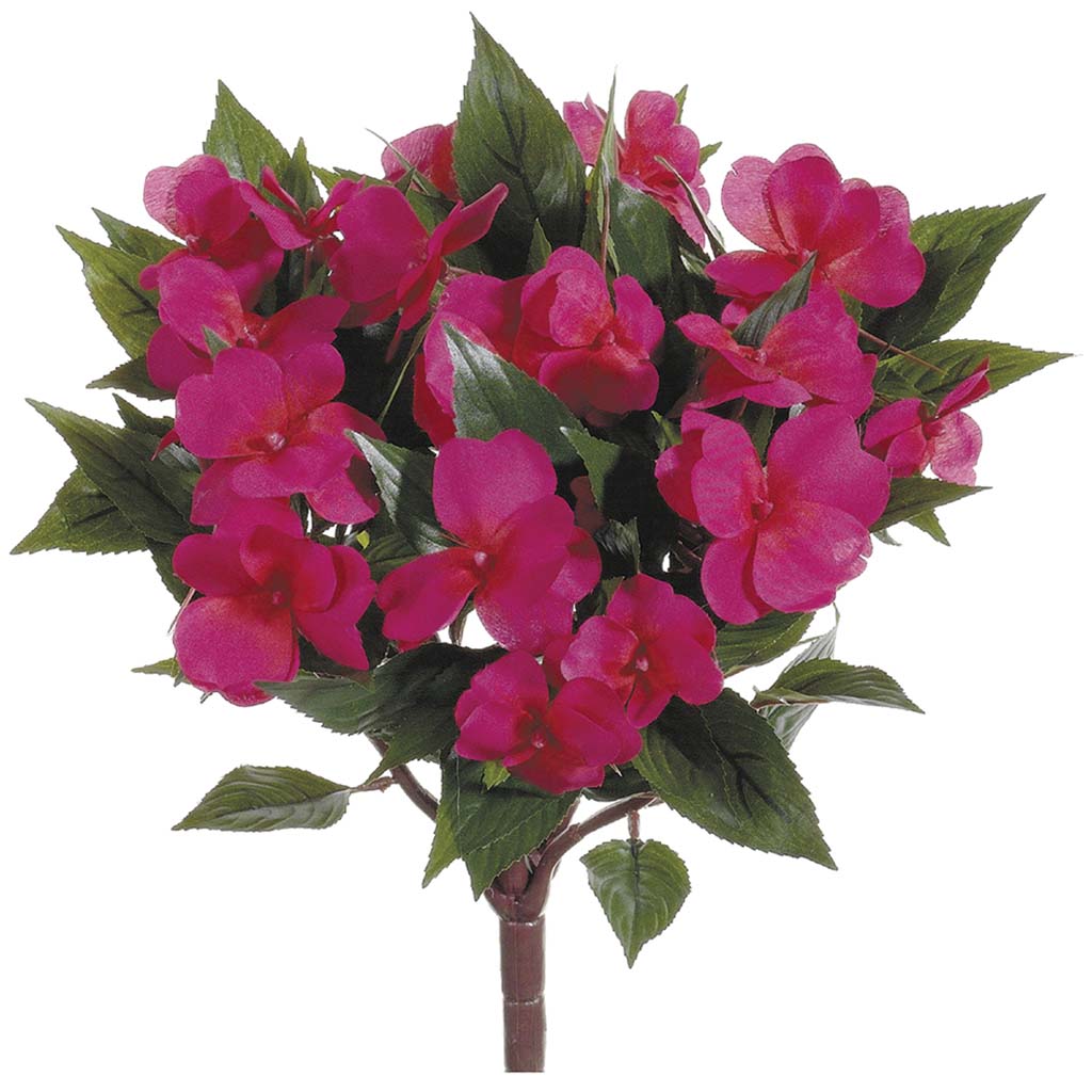 New Guinea Impatiens Bush Beauty, 13.7in