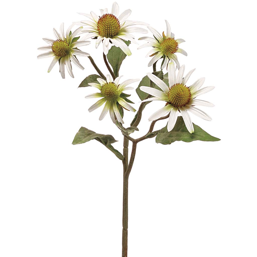 Rudbeckia Spray with Flower 20.5in White