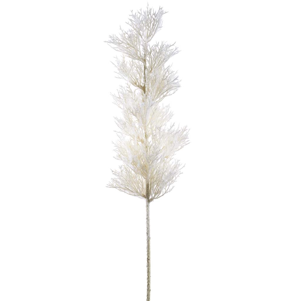 Coral Spray 29in Cream