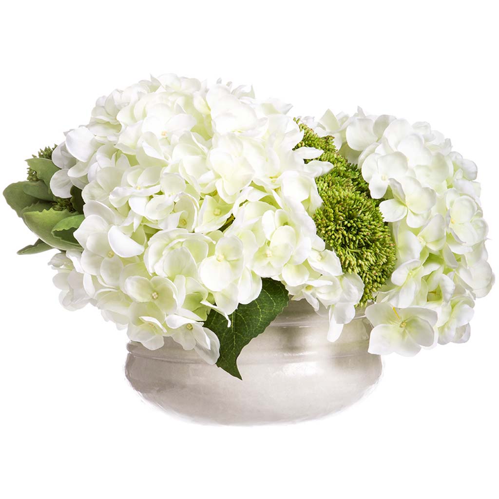 Hydrangea Sedum in Container Cream Green, 10in H x 16in W x 16in L