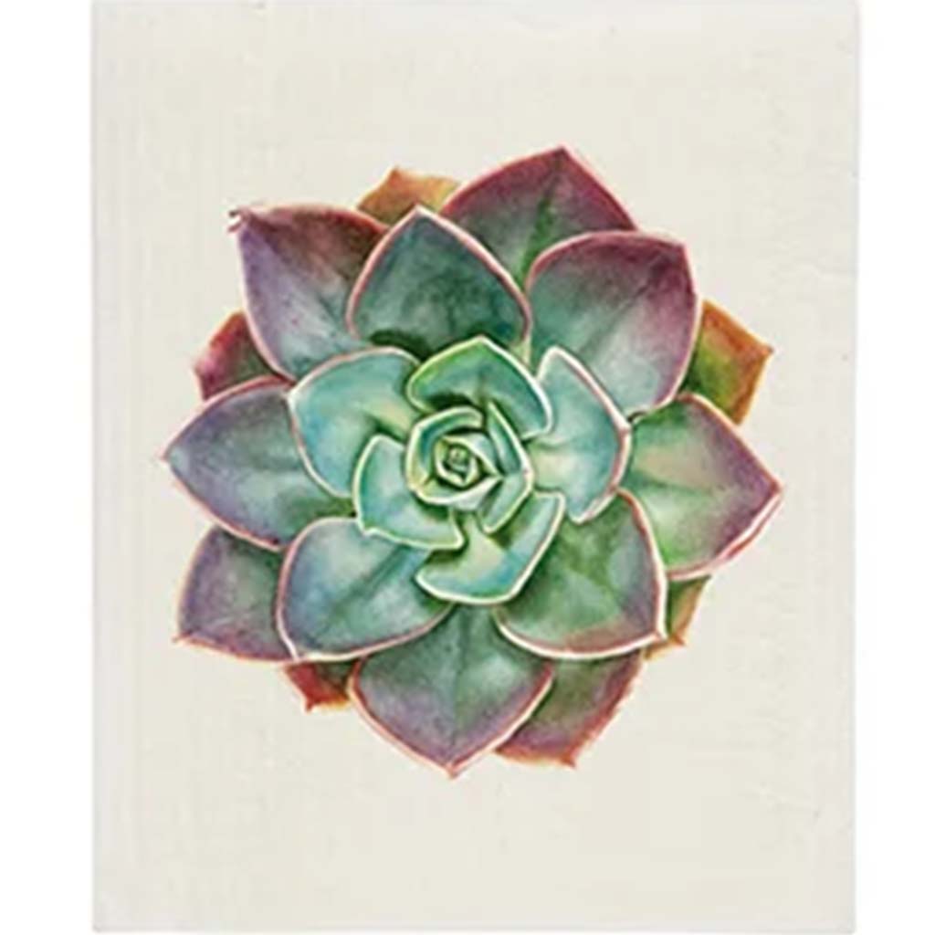 Succulent Sponge Cloth Green, 6.5in x 8in