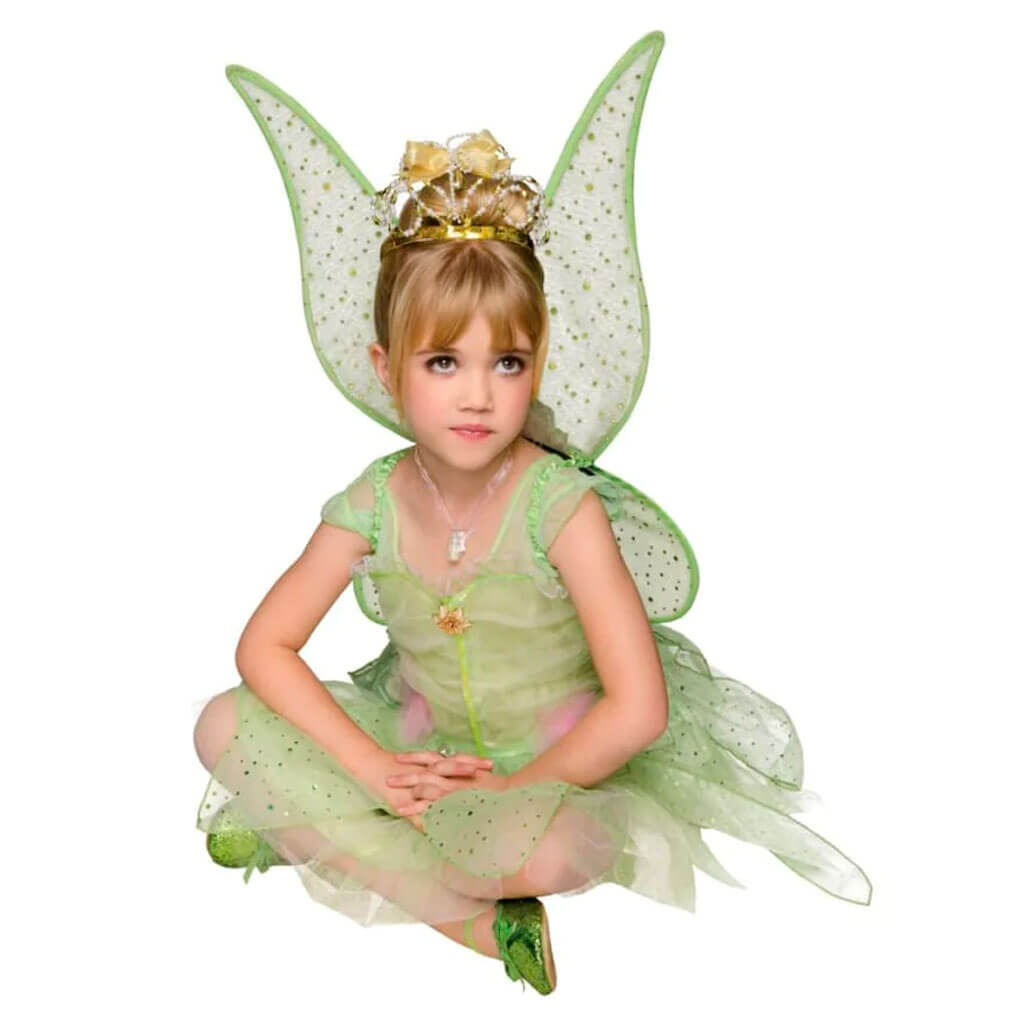 Green Woodland Fairy Child Costume, Small 4 to 6