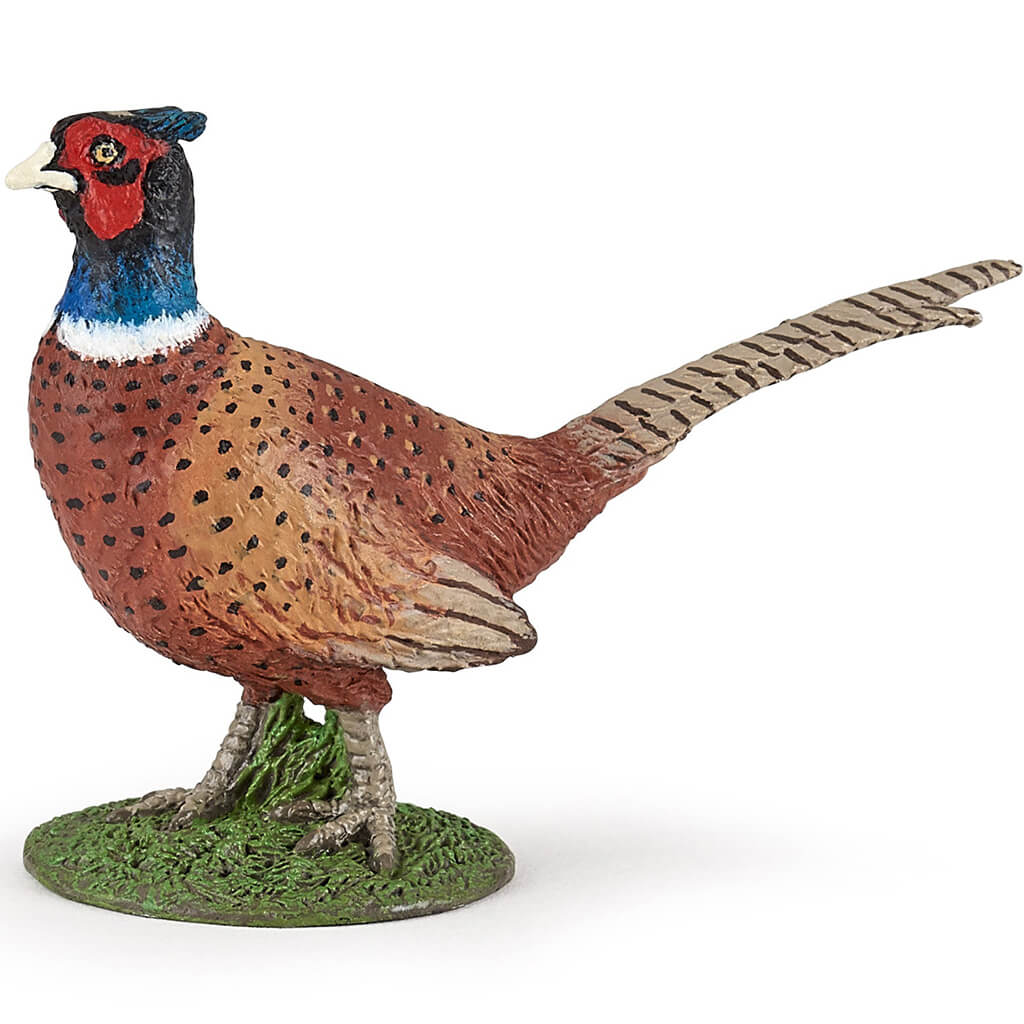 Papo Pheasant