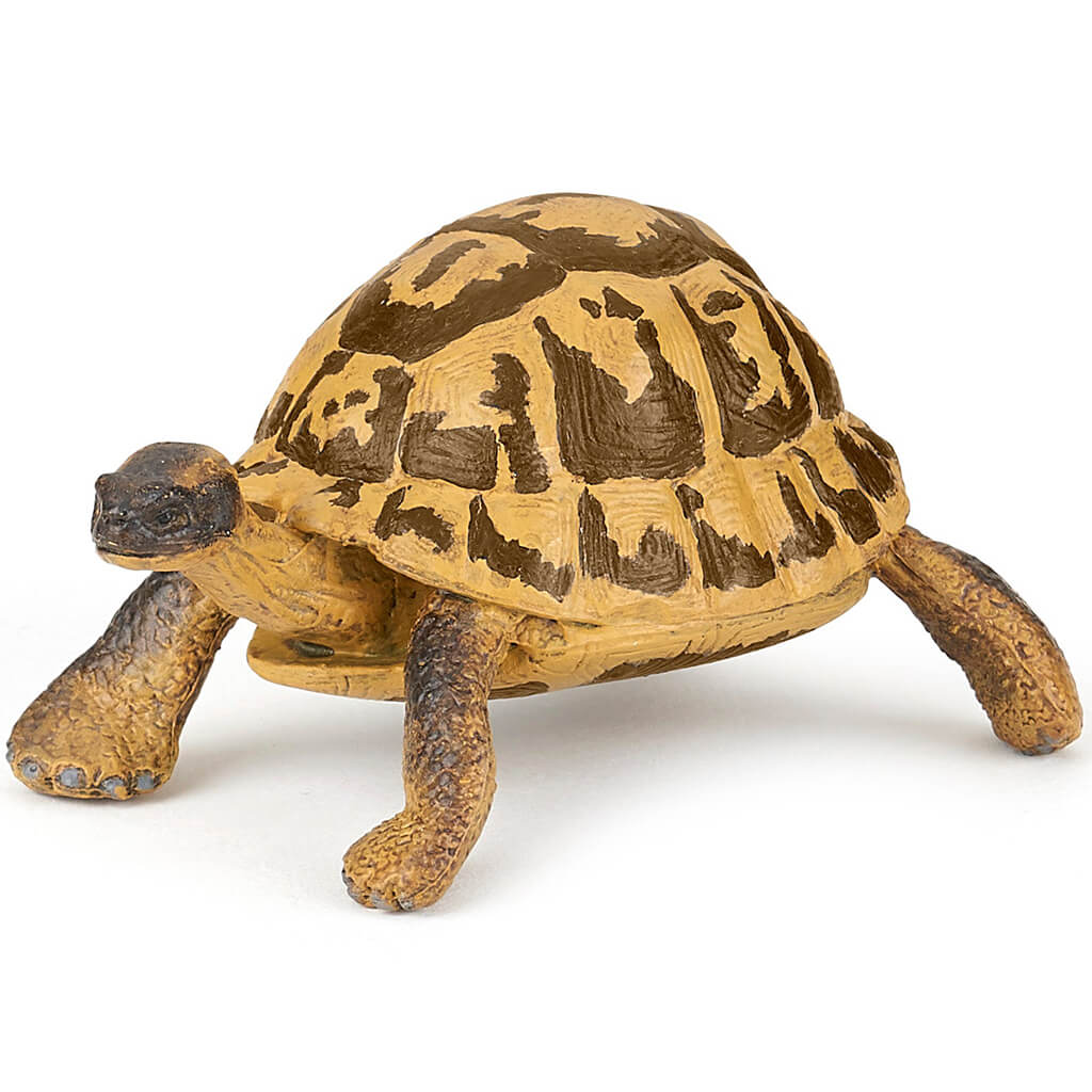 Papo Hermann&#39;S Tortoise