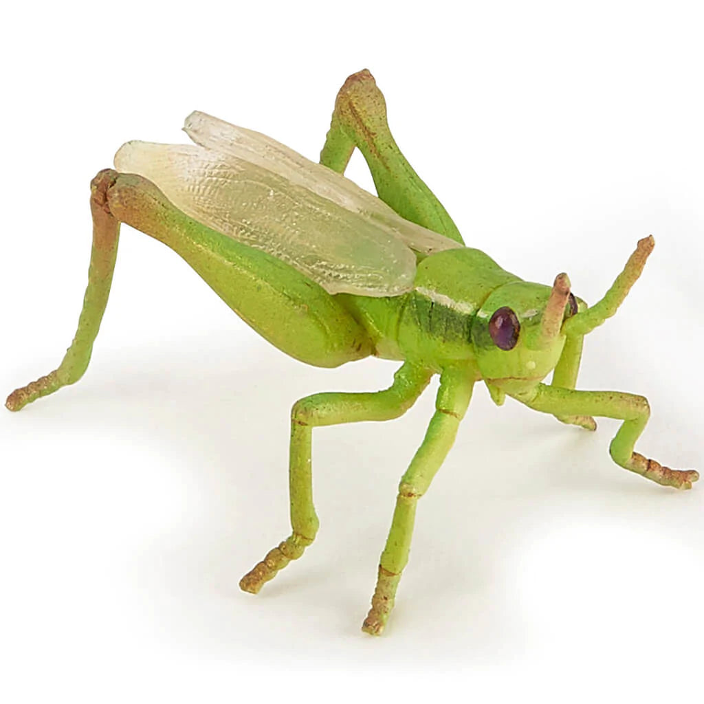 Papo Grasshopper