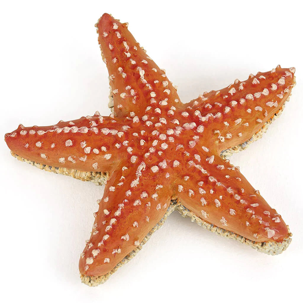 Papo Starfish