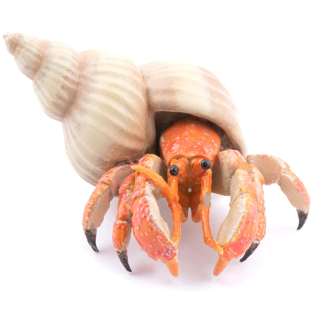 Papo Hermit Crab