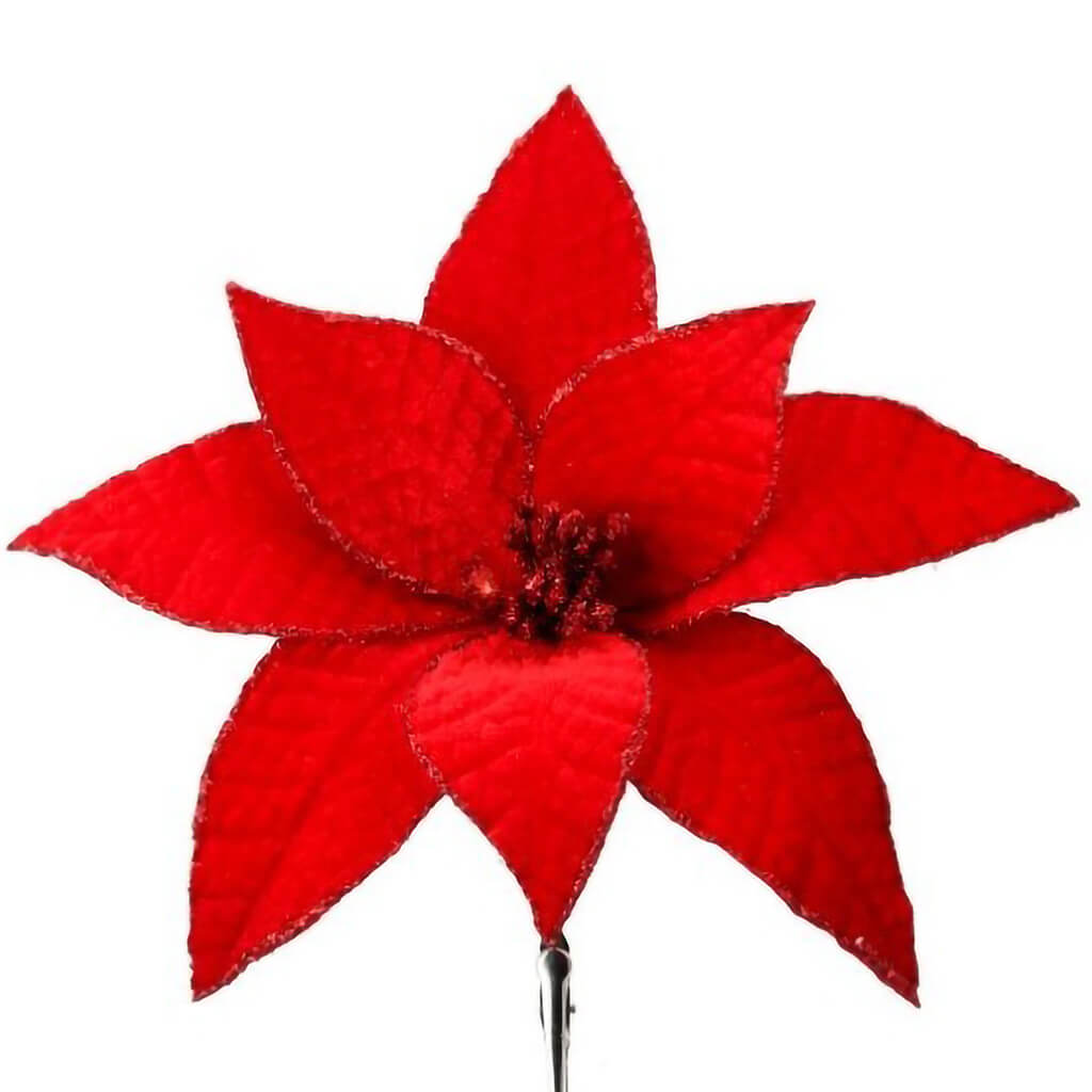 Velvet Glitter Edge Jewell Poinsettia Clip, 9in