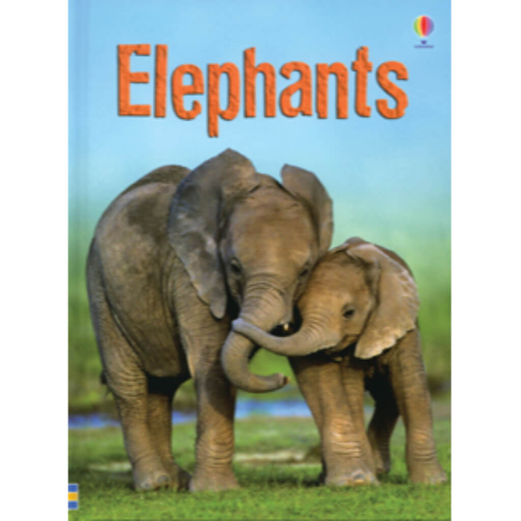 Elephants (Usborne Beginners)