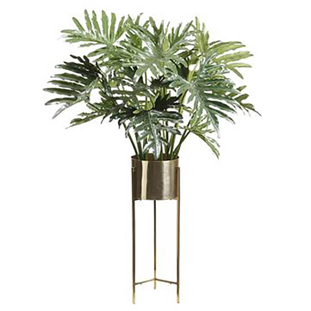 Selloum Philo Plant In Brass Planter With Stand Green, 61in H x 42in W x 42in L