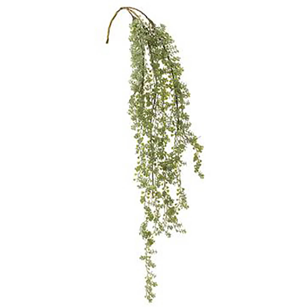 Button Leaf Hanging Bush Green, 43in