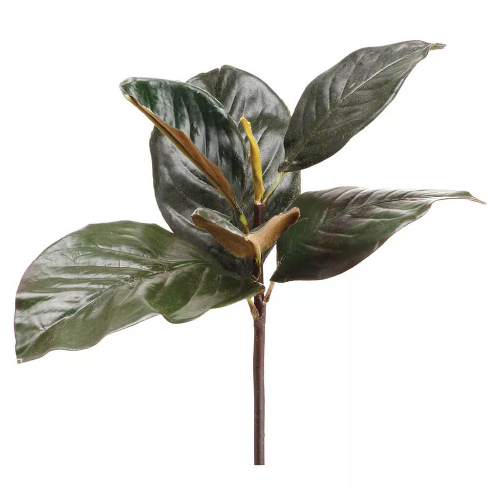 Magnolia Leaf Pick Green 13in