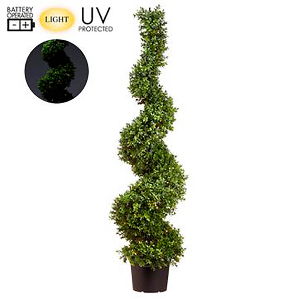 Boxwood Spiral 100 Led Lights in Pot Green, 58in