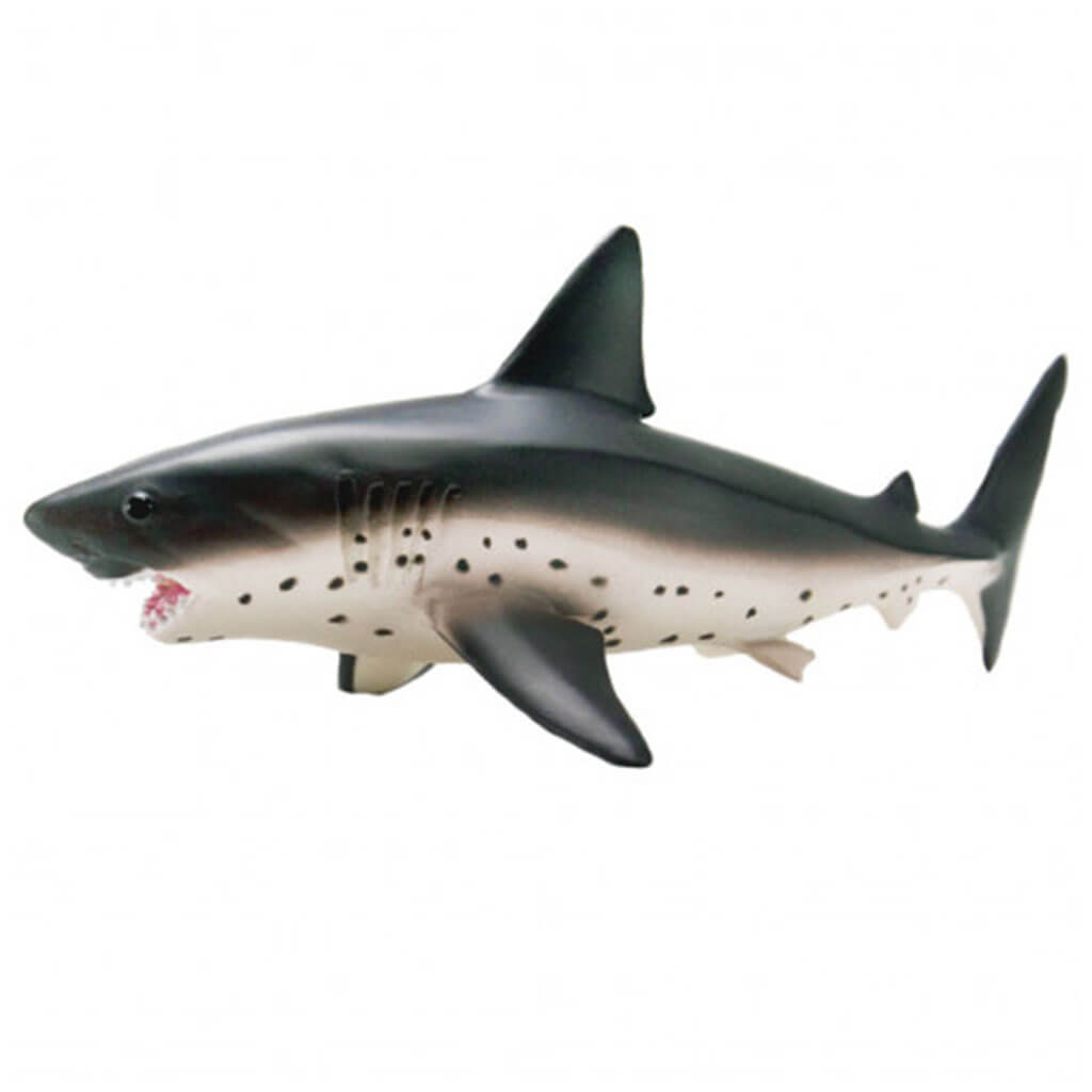 Salmon Shark