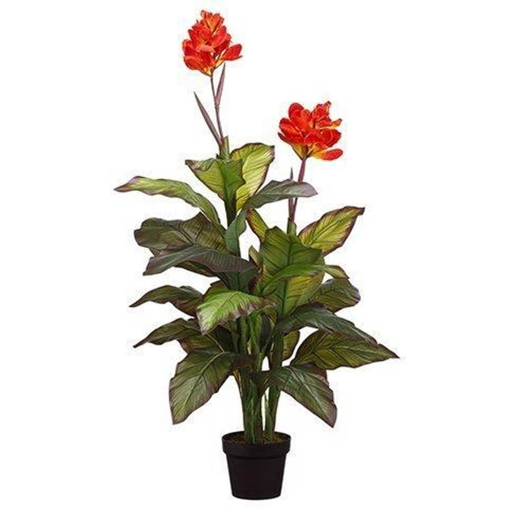 Canna Plant In Pot Red 48in