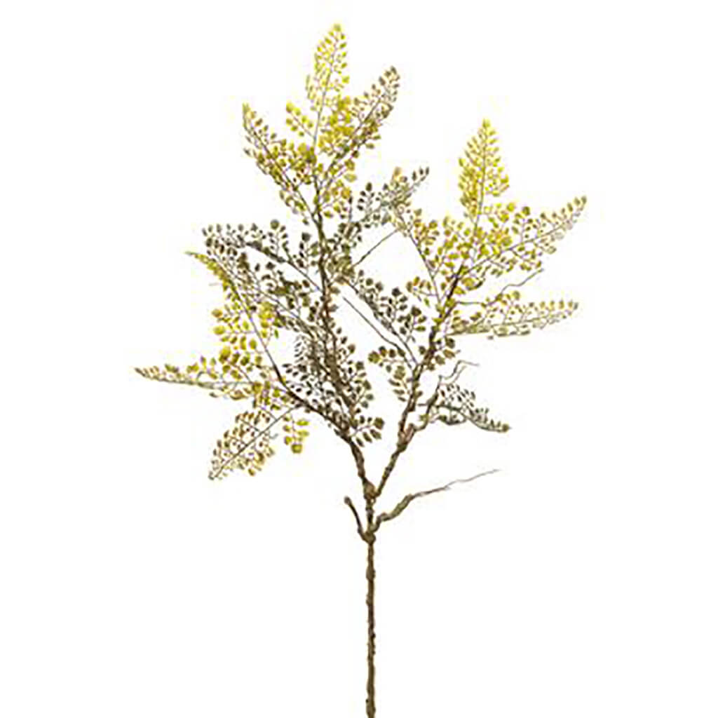 Meidenhair Fern Spray 33in Green